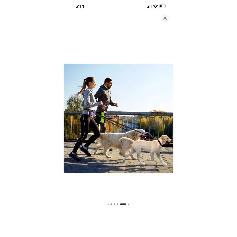 PetAmi Premium Hands Free Dog Leash For Up To 2 Dogs Adjustable Waist Belt Fanny
